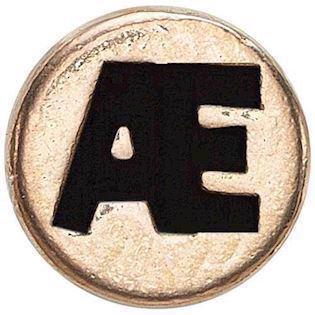 Christina Collect gold-plated 925 sterling silver Small gold-plated silver dot with Æ, model 603-G-Æ